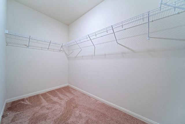 409 Amberwood Park Drive, Katy, TX 77493