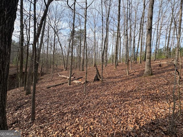 153 Highland Circle, Flovilla, GA 30216