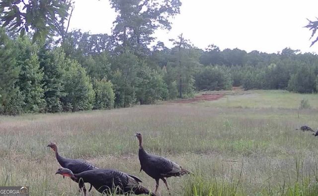 153 Highland Circle, Flovilla, GA 30216