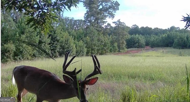 153 Highland Circle, Flovilla, GA 30216