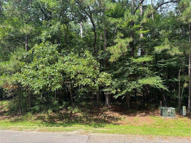 75 Green Tree Drive, Coldspring, TX 77331