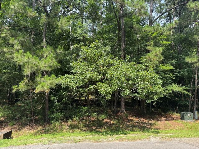 75 Green Tree Drive, Coldspring, TX 77331