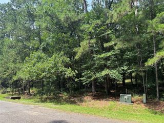 75 Green Tree Drive, Coldspring, TX 77331