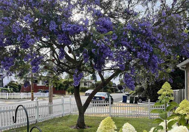 3975 Wilson Ave, Castro Valley, CA 94546