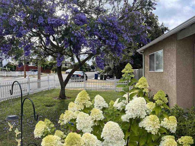 3975 Wilson Ave, Castro Valley, CA 94546