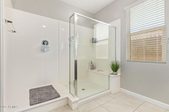 41005 W CRANE Drive, Maricopa, AZ 85138