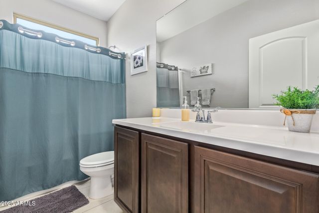 41005 W CRANE Drive, Maricopa, AZ 85138