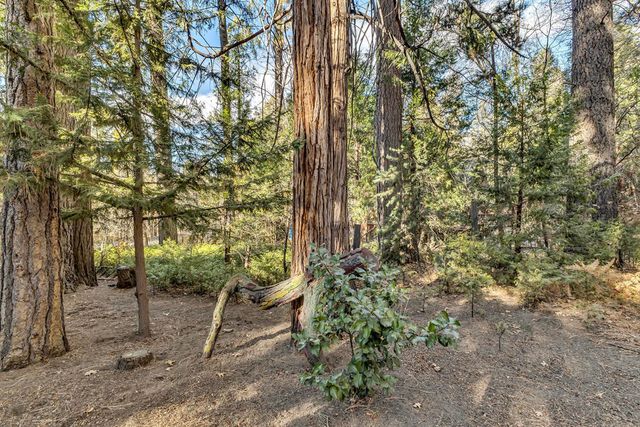 54865 Strong Dr, Idyllwild, CA 92549