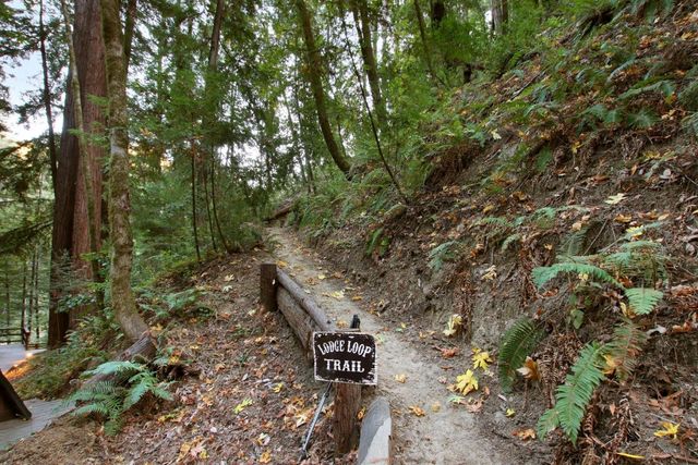 16770 Redwood Lodge Road, Los Gatos, CA 95033