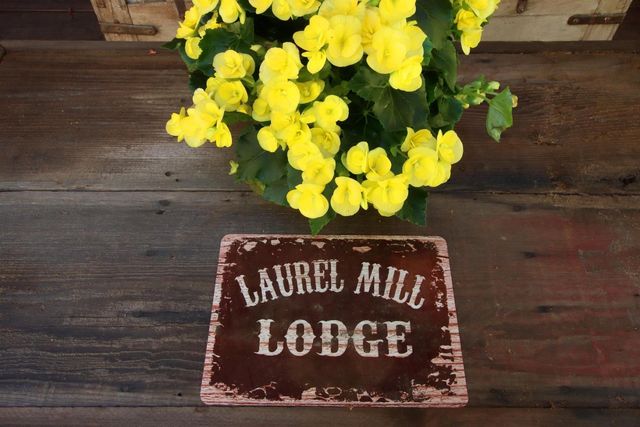 16770 Redwood Lodge Road, Los Gatos, CA 95033