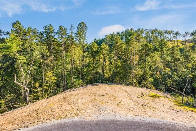 0 Canoe Point, Ellijay, GA 30540