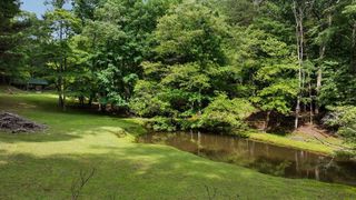 284 Tickanetley Road, Ellijay, GA 30536
