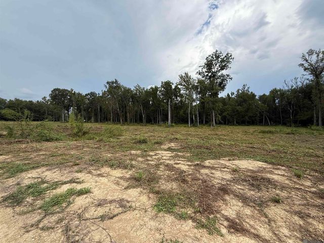 6-Z-1-A Pertuis Rd, St Amant, LA 70774