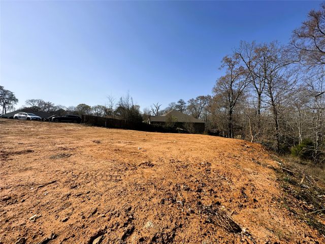 110 Elmwood Ct, Palestine, TX 75801