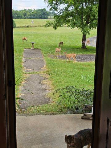 520 Peterson Ln, Clarksville, TN 37040