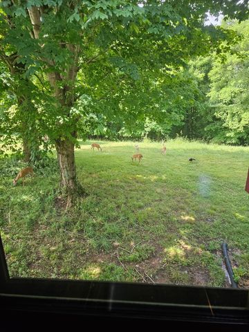 520 Peterson Ln, Clarksville, TN 37040