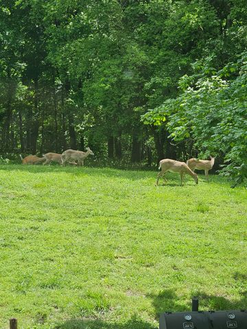 520 Peterson Ln, Clarksville, TN 37040