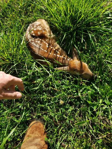 520 Peterson Ln, Clarksville, TN 37040