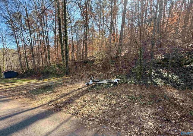 4512 Hideaway Drive, Guntersville, AL 35976