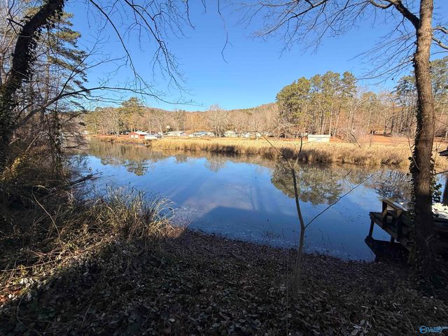 4512 Hideaway Drive, Guntersville, AL 35976