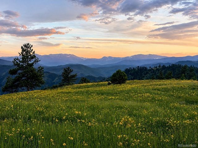 54 Guardian Peak Dr, Livermore, CO 80536
