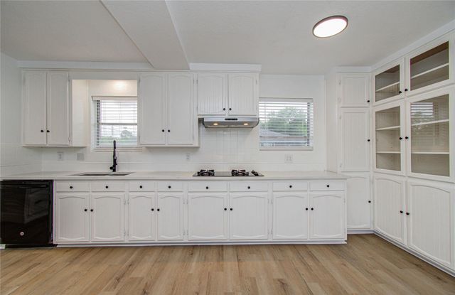 12102 Monticeto Lane, Meadows Place, TX 77477