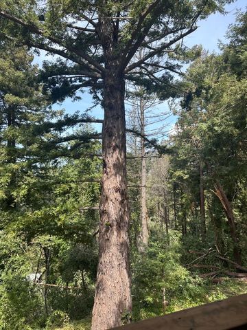 50 Old Orchard Road, Los Gatos, CA 95033