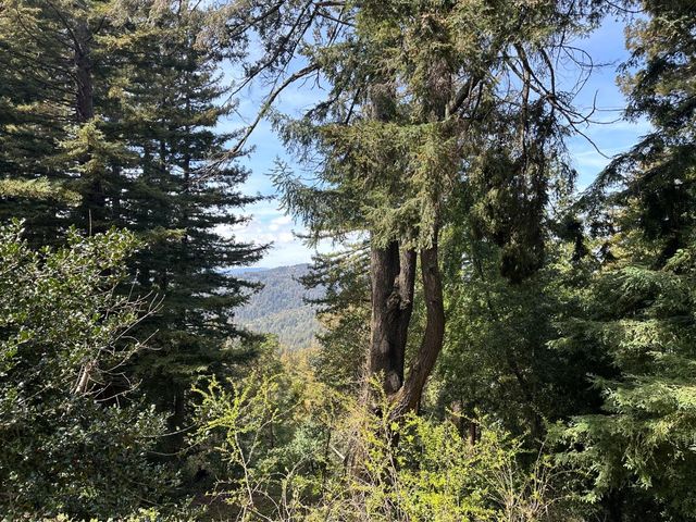 50 Old Orchard Road, Los Gatos, CA 95033