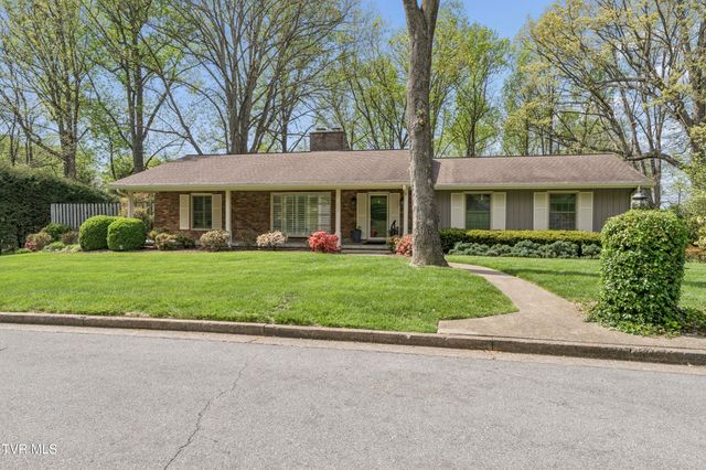 303 Hillside Road, Johnson City, TN 37601
