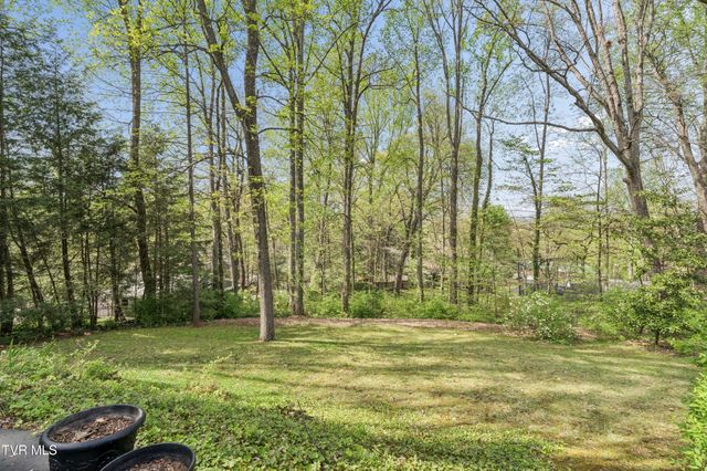 303 Hillside Road, Johnson City, TN 37601