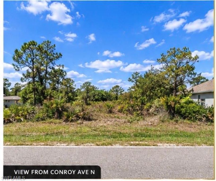 2413 Conroy Avenue N, LEHIGH ACRES, FL 33971 — photo 3