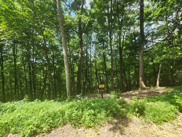 3 Savannah Dr, Smithville, TN 37166