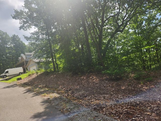 3 Savannah Dr, Smithville, TN 37166