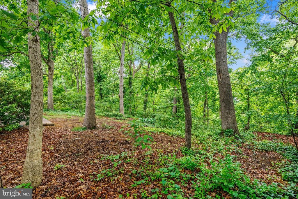 Image 43 of property listing at 1402 CATLYN PL, Annapolis, MD 21401