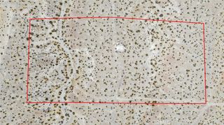 0 Oleander, Oro Grande, CA 92368