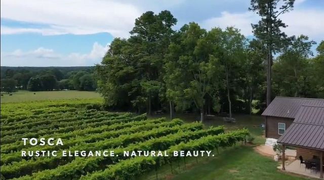 231 Hostetter Rd, New Waverly, TX 77358