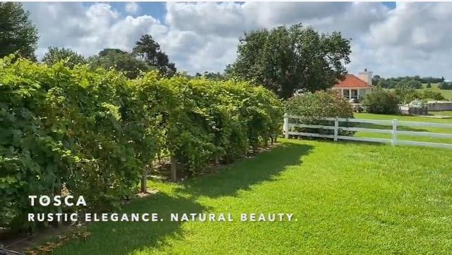 231 Hostetter Rd, New Waverly, TX 77358