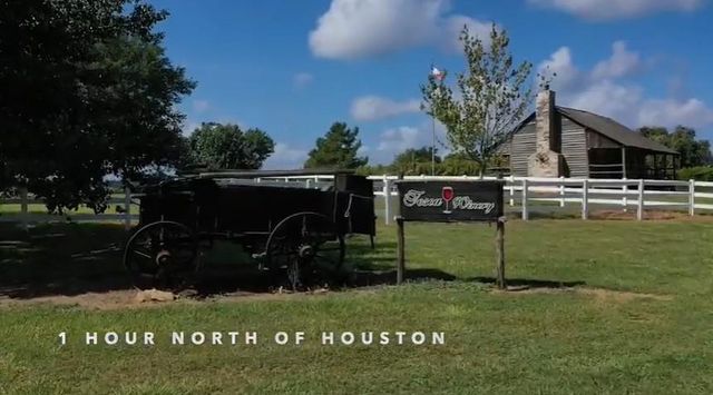 231 Hostetter Rd, New Waverly, TX 77358