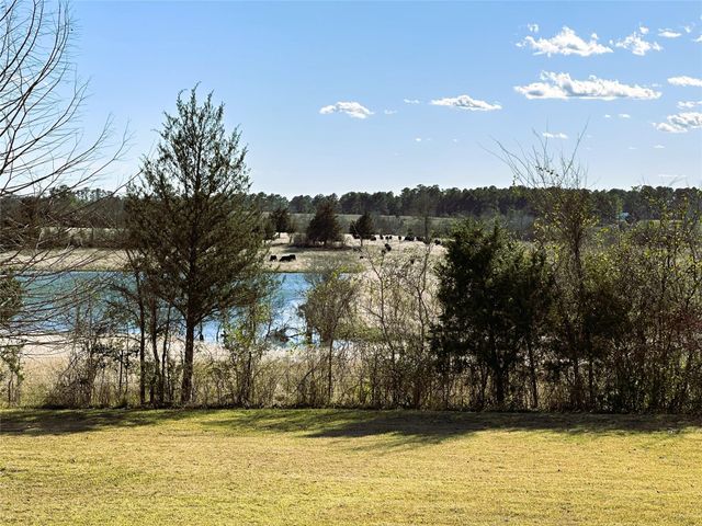 231 Hostetter Rd, New Waverly, TX 77358