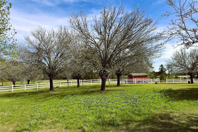 231 Hostetter Rd, New Waverly, TX 77358