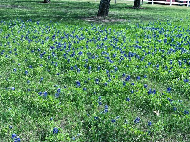 231 Hostetter Rd, New Waverly, TX 77358