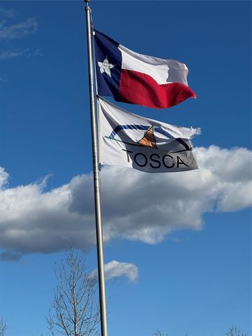 231 Hostetter Rd, New Waverly, TX 77358