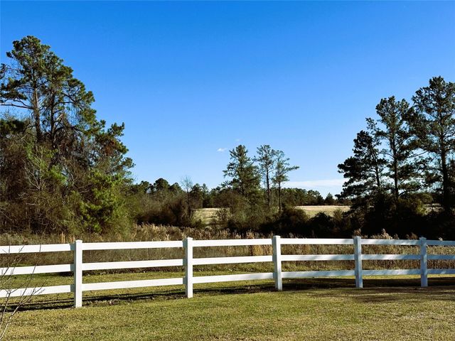 231 Hostetter Rd, New Waverly, TX 77358