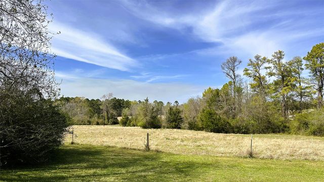 231 Hostetter Rd, New Waverly, TX 77358