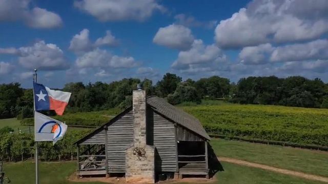 231 Hostetter Rd, New Waverly, TX 77358