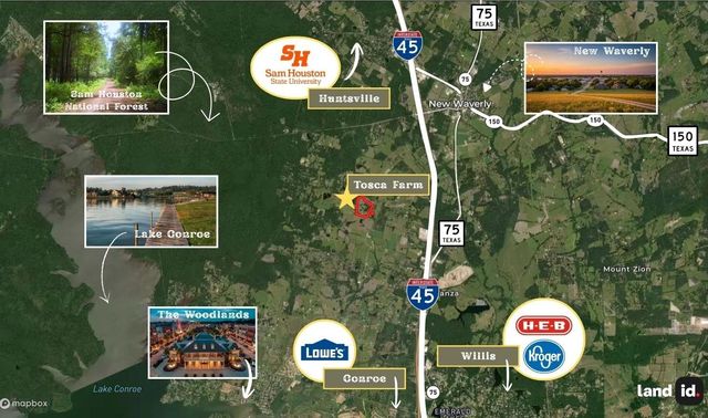 231 Hostetter Rd, New Waverly, TX 77358