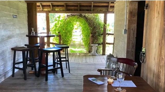 231 Hostetter Rd, New Waverly, TX 77358