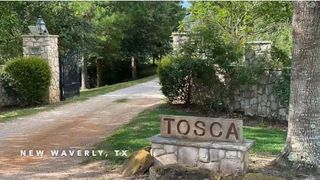 231 Hostetter Rd, New Waverly, TX 77358