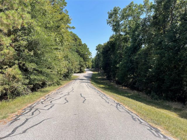 TBDDDDD Valleyview Drive, Onalaska, TX 77360