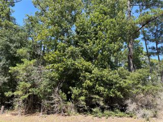TBDDDDD Valleyview Drive, Onalaska, TX 77360
